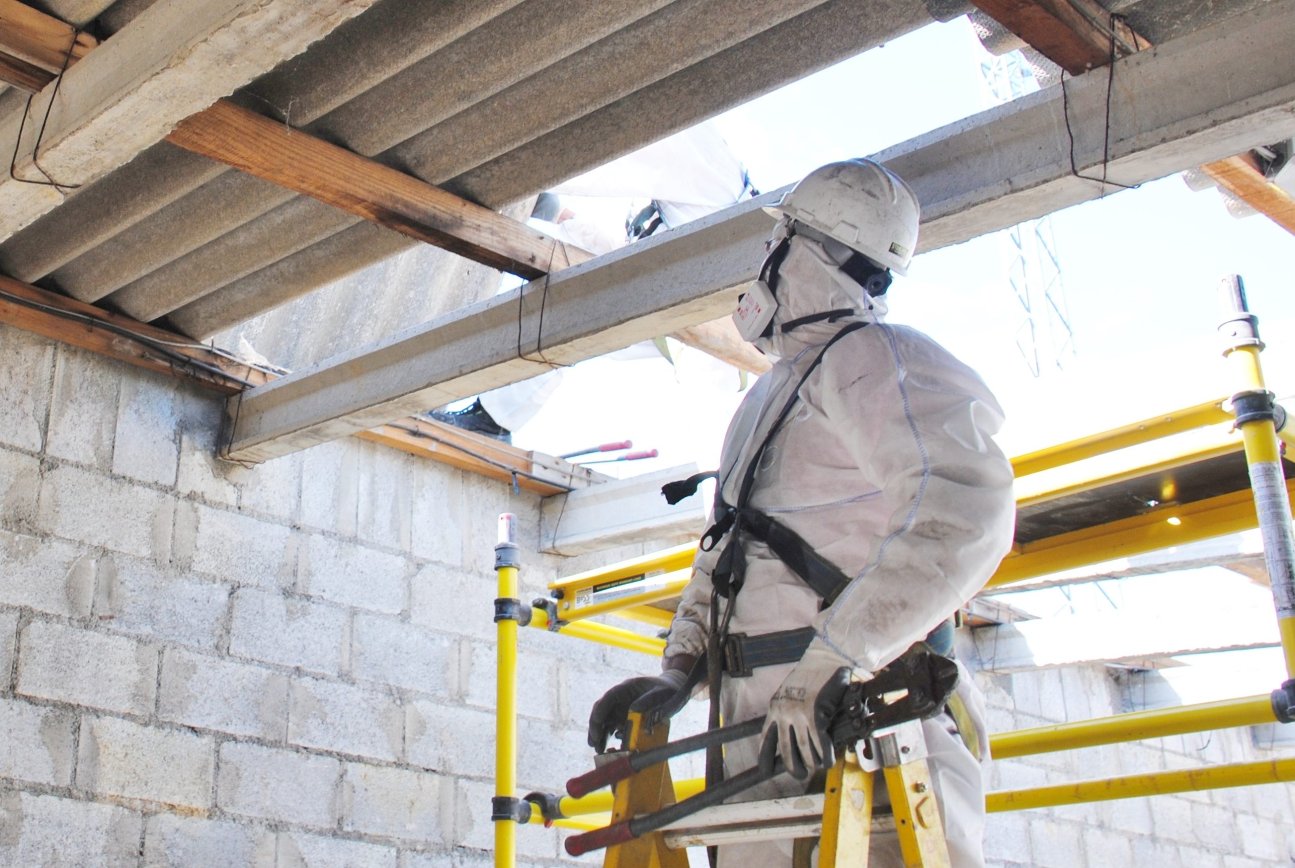 Asbestos Surveying